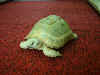 DSCF0002.jpg (38322 Ӧ줸)