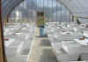growhouse.jpg (28146 個位元組)